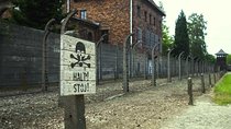 Auschwitz Birkenau Memorial and Museum group tour from Krakow