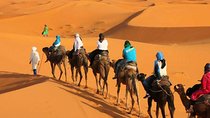 Top Tours : 3 Days Desert Tour from Marrakech to Merzouga including Camel Trek