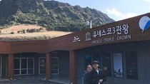 UNESCO Jeju Full Day Tour Package By Taxi