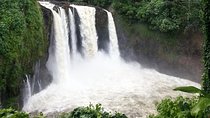 Hilo Highlights: Waterfall & Local Secrets on a Short Excursion