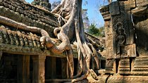Personalised Angkor Wat Day Tour by an Air-conditioned Car