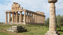 Paestum, Buffalo Mozzarella tasting and light lunch private tour