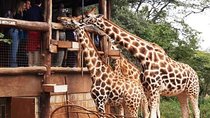 Karen Blixen Museum & Giraffe Centre Half day tour