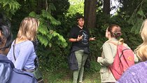 Spoken Treasures: Stanley Park Indigenous Walking Tour