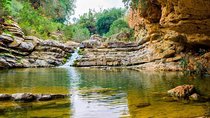 Ourika Valley Day Trip Private