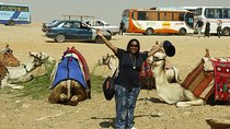 Camel Market Excursion in Cairo