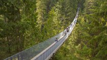 Vancouver Highlights and Capilano Suspension Park Tour - Private Charter (7 hrs)