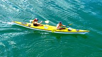 Self-Guided Sydney Middle Harbour Kayak 3 Hour Tour by Double Kayak