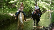 Horse Riding Experience in Marmaris with Transfer