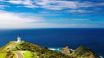 3-Day Bay of Islands Tour from Auckland