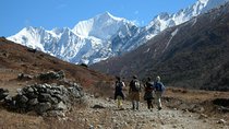 8 Days Langtang Valley Treks