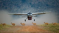 3-Day Masai Mara Flying Luxury Lodge Private Safari