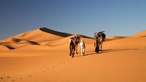 3 Days Safari to Chegaga from Marrakech