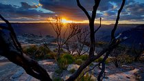 Ultimate Blue Mountains and Wildlife Tour