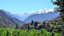 Top Excursions : Full Day Trip To Ourika Valley and Atlas from Marrakech