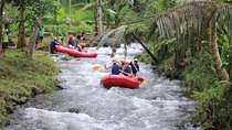 Bali Rafting with Flying Fox