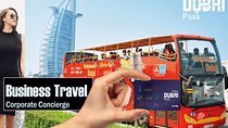 Ticket & Pass to Ski Dubai & Dubai Ice Rink plus $25 Meal Voucher