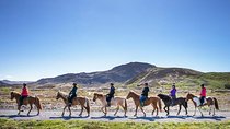 Icelandic Horseback Riding Tour with pickup option from Reykjavik