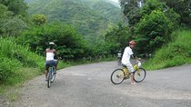 Blue Mountain Bicycle Tour from Kingston