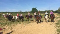 Memphis Horseback Trail Ride Tour