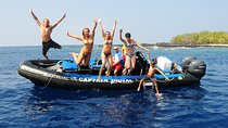 Kealakekua Bay Snorkeling Tour - 4 hour Kona Zodiac Adventure