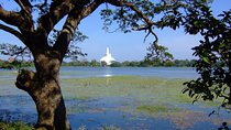 Anuradhapura Private Day Trip from Colombo, Negombo, or Katunayaka