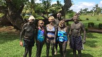 Sabeto Mud Baths and Garden of the Sleeping Giant Tour