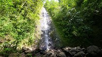 Hawaiian Waterfall Hike