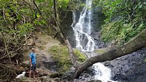Oahu Hidden Waterfall Hike: A Tropical Paradise Adventure