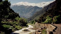 Atlas Mountains Full-Day Private Tour from Marrakech