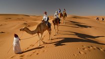 Desert Safari Dubai with Dinner, Dance shows, Camel ride