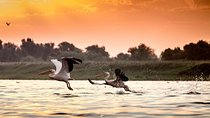 Private four days safari experience to the Danube Delta from Bucharest