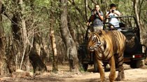 03 Days Private Wildlife Ranthambore Tiger Tour from Jaipur