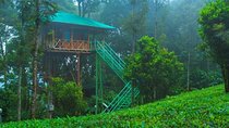 2 Nights Munnar Treehouse Escape with Private Car- Iris Holidays