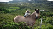 2-Day Connemara and Galway Bay Rail Tour from Dublin