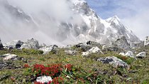 Amazing Short Gosaikunda Trek from Kathmandu Nepal