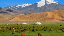 Best tour in Mongolian 7 days