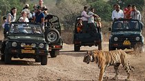 Golden Triangle Tour with Ranthambore National Park