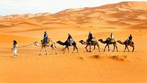 Desert Safari with Bab AL Shams Dinner with 45 Minutes of Dune Bashing