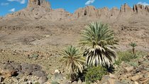Trek Jebel Saghro Morocco 8 Days