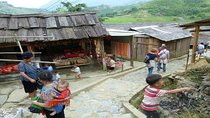Sapa trekking by bus 3D2N (homestay and hotel stay)