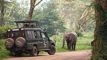 8 Days Best of Tanzania Wildlife Safari