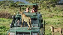 1 Day Private Safari in Tarangire National Park