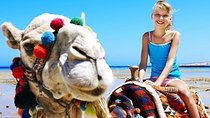 Camel Trekking in Abu Dhabi