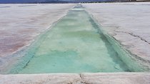 Full-Day Tour Salinas Grandes and Purmamarca from Salta