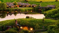 Auckland to Rotorua via Hobbiton Small Group Tour (One Way)
