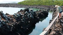 Isabela Island Explorer 3 days 2 nights