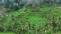 Full Day Bali Private Top Tour Attractions 10-12 hours