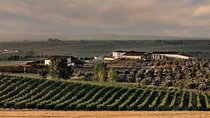 Alentejo Wine Tour from the Algarve
