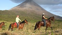 Private and Customized Horseback Riding Adventures